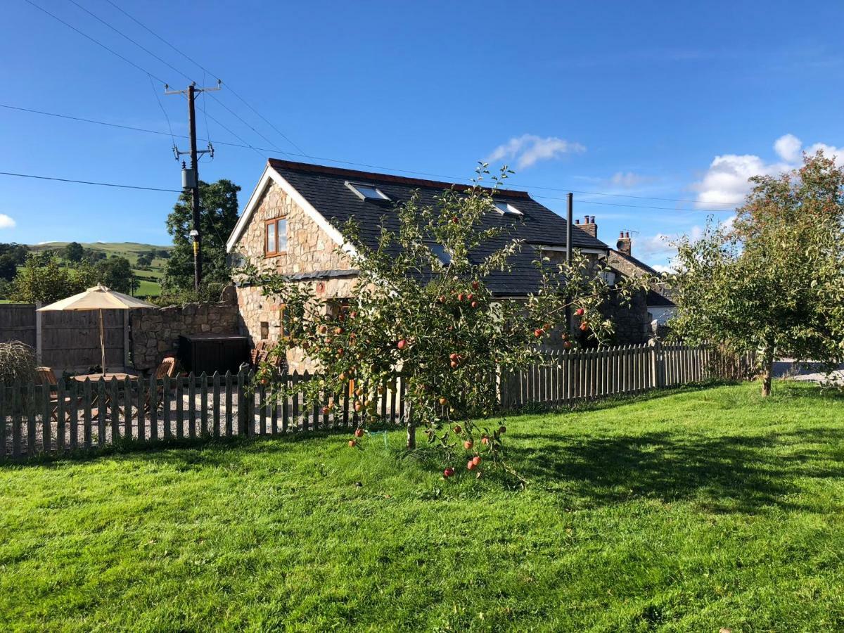 Ty Gylfinir Llandegla Exterior foto