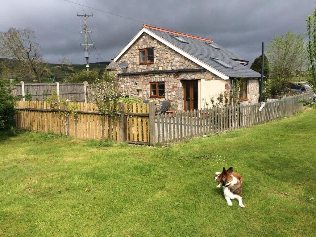 Ty Gylfinir Llandegla Exterior foto